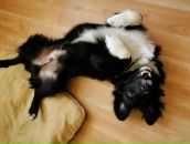 Фотография Тренихиной Анны