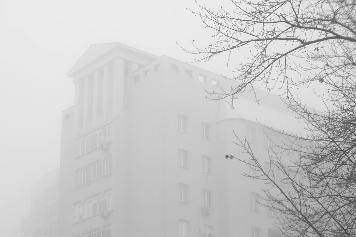 Ольга Моха фотография #22