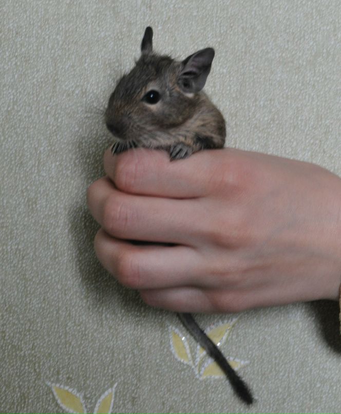 Андрей Ремнёв фотография #23