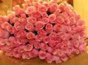 Фотография Александровой Марины