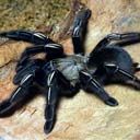 Сергій Кравченко фотография #32 (источник - https://vk.com/id151338045)