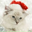 Юля Бузукіна фотография #4 (источник - https://vk.com/id185571605)