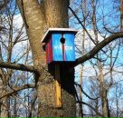 Фотография Ермаковой Марии