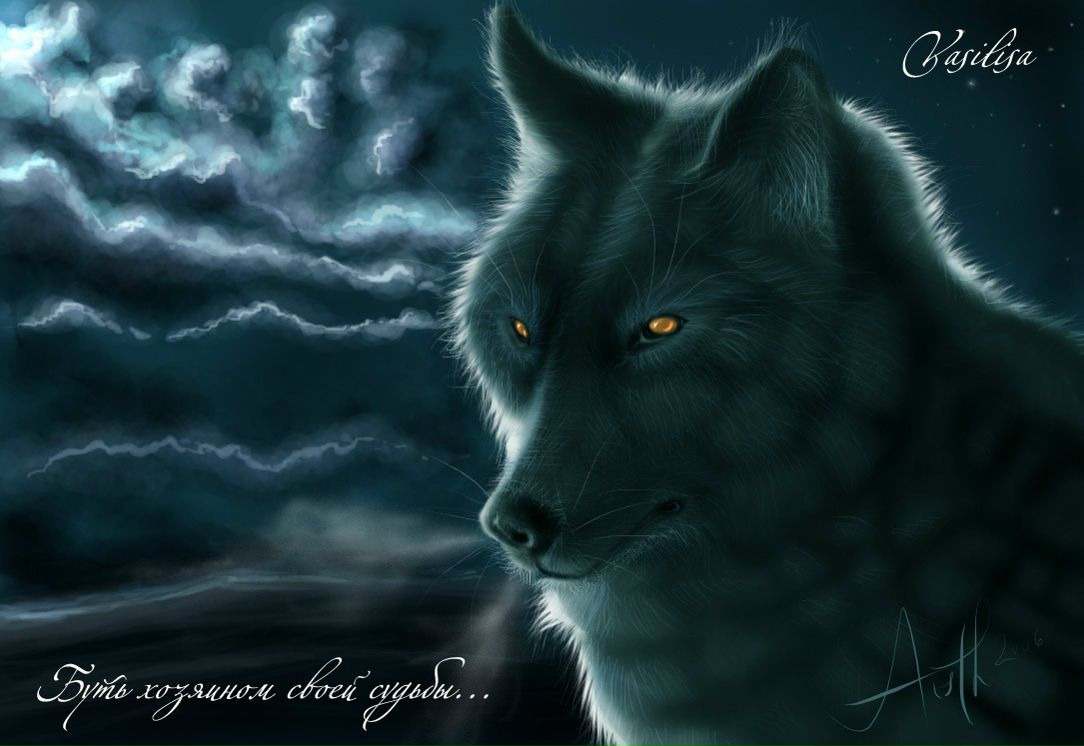 Дима Вьялицын фотография #16