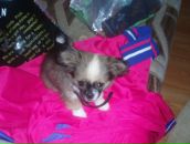 Ірочка Назарчук фотография #40 (источник - https://vk.com/id123232250)