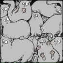 Фотография Ютковой Светы