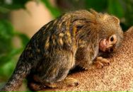 Фотография Лисиной Людмилы