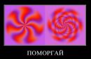 Олександр Пасічник фотография #38 (источник - https://vk.com/id137309860)