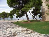 Душан Лазић фотография #44 (источник - https://vk.com/id80294352)