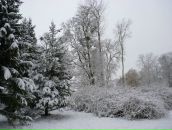 Анастасія Герасименко фотография #42 (источник - https://vk.com/id134214357)