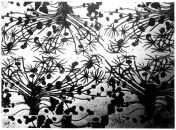 Фотография Сахары Андрея