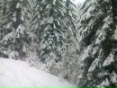 Ігор Козаков фотография #23 (источник - https://vk.com/id160356261)