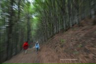 Тарас Зубрицький фотография #21 (источник - https://vk.com/id9532109)