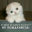 Сергей Семухин фотография #37 (источник - https://vk.com/id9216928)