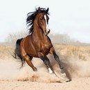 Οлеся Κудрявцева фотография #45 (источник - https://vk.com/id169427654)