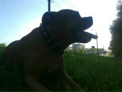 Толік Шуба фотография #30 (источник - https://vk.com/id28618845)