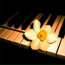 Каріна Бокшо фотография #21 (источник - https://vk.com/id88423234)