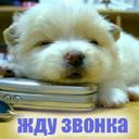 Саша Руднєв фотография #26 (источник - https://vk.com/id150764127)