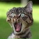 Андрій Мартинович фотография #33 (источник - https://vk.com/id58962999)