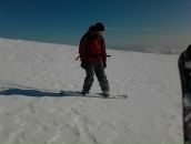 Фотография Тимофеева Алексея