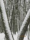 Андрій Оліферчук фотография #39 (источник - https://vk.com/id166138899)