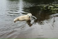 Иван Любченко фотография #35 (источник - https://vk.com/id682883)