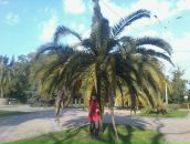 Фотография Семеновой Натальи