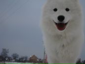 Фотография Татаринова Петра