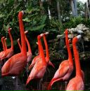 Фотография Янкиной Яны