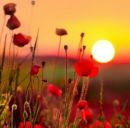 Соломія Корнійчук фотография #23 (источник - https://vk.com/id167634957)