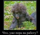 Фотография Титовой Татьяны
