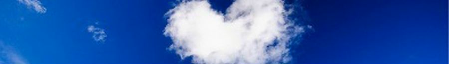 Софія Білічак фотография #18 (источник - https://vk.com/id143366027)