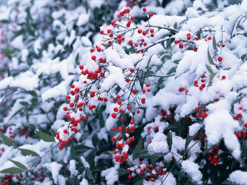 Оля Постникова фотография #31