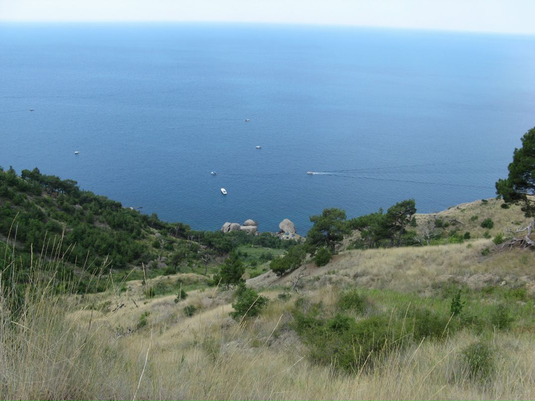 Cucumber Jam фотография #20