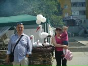 Рустам Исламов фотография #9 (источник - https://vk.com/id2459387)