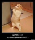 Максим Матвіїв фотография #6 (источник - https://vk.com/id138988188)