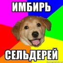 Фотография Крылова Дмитрия