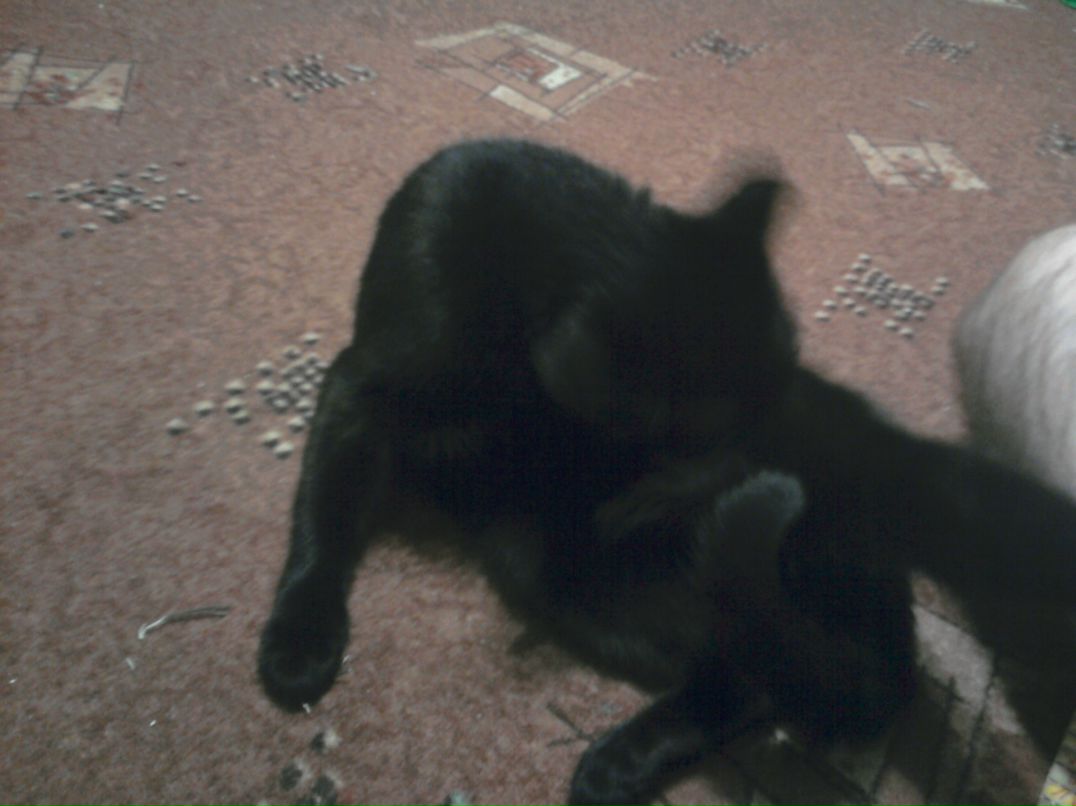 Павел Богдашенко фотография #42