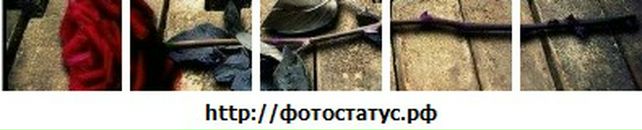 Ірина Степаняк фотография #49 (источник - https://vk.com/id58040508)