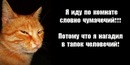 Христина Піткович фотография #24 (источник - https://vk.com/id143091001)