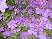 Андрій Осадчий фотография #1