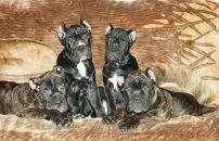 Фотография Полубелковой Дарины