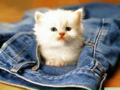 Марія Жига фотография #28 (источник - https://vk.com/id134299502)