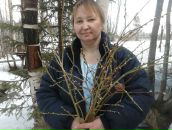 Фотография Васильевны Елены