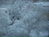 Фотография Робозеровой Натальи