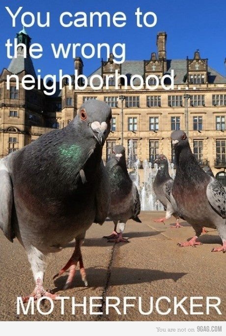 Ilyas Arnaut фотография #11