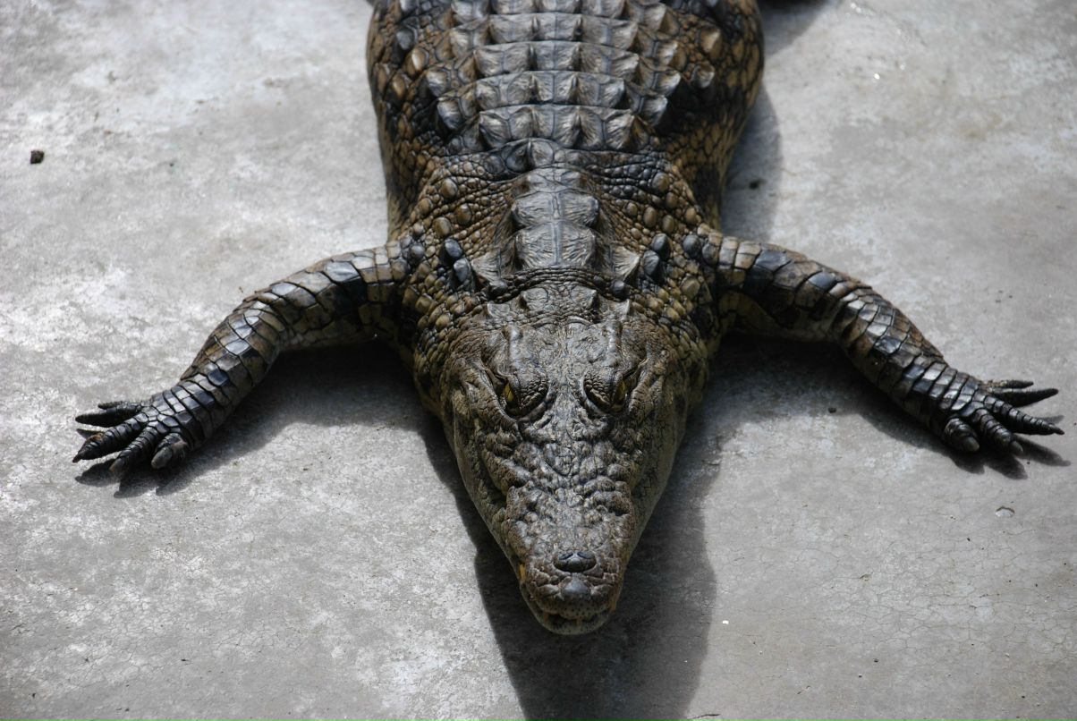 Дмитрий Ружицкий фотография #2