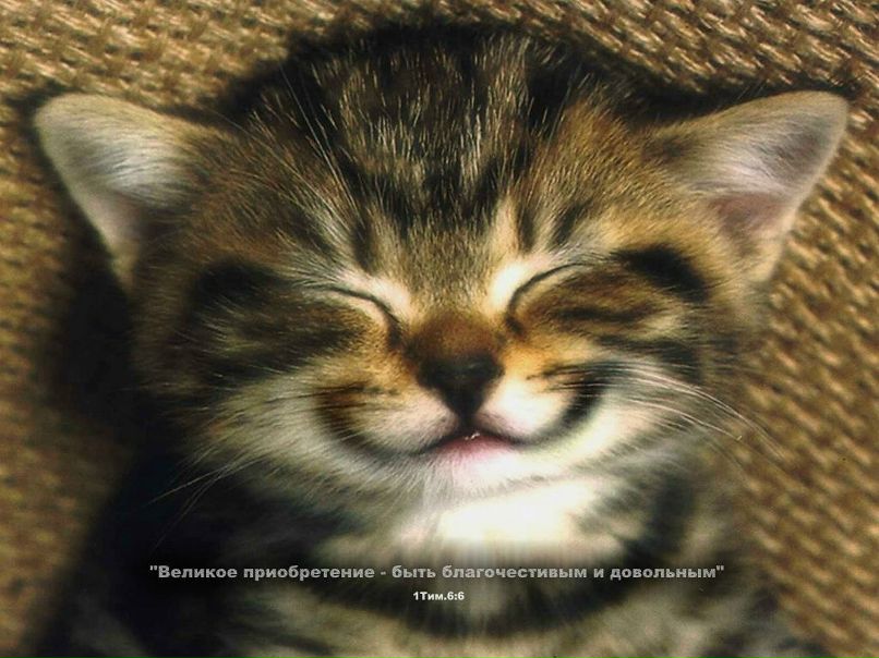 Степан Дигуев фотография #46