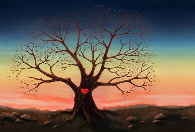 Элис Каленн фотография #24