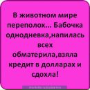 Игорь Иванов фотография #22 (источник - https://vk.com/id10904432)